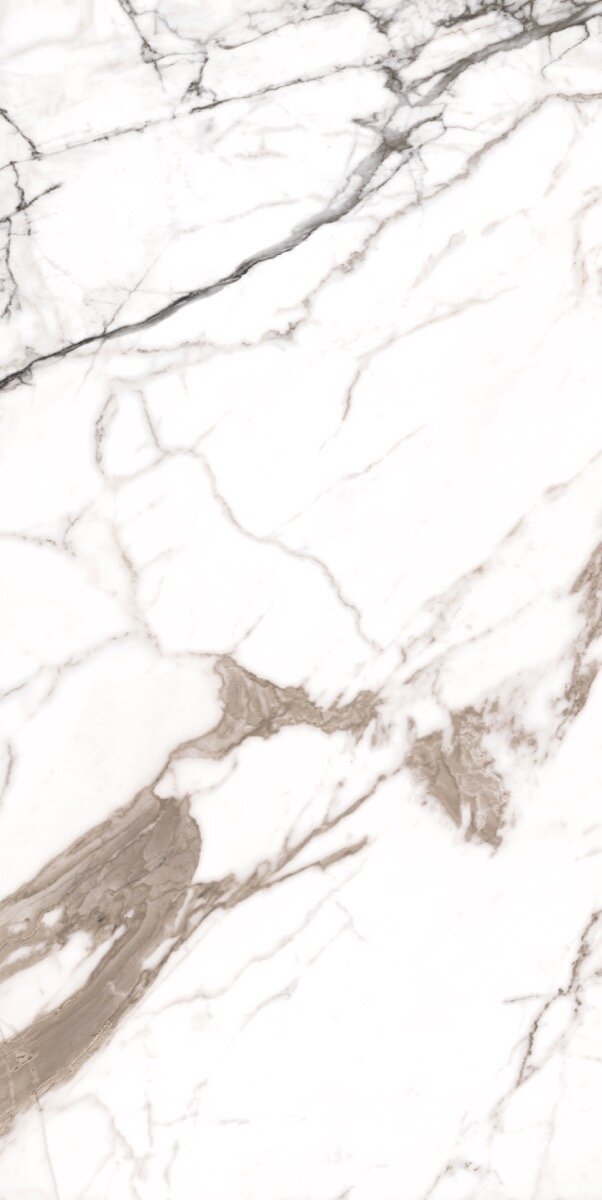 Paonazzo 60x120 cm - Full Lap